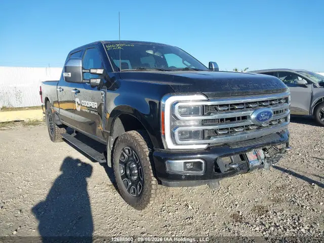 1FT8W3BN0PED89716 — 2023 Ford F350 Super Duty, Передняя часть (Front), фото до ремонта
