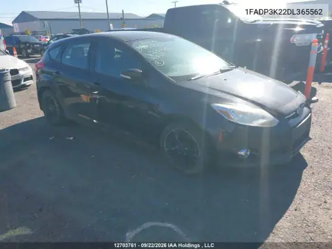1FADP3K22DL365562 — 2013 Ford Focus, Передняя часть, фото до ремонта