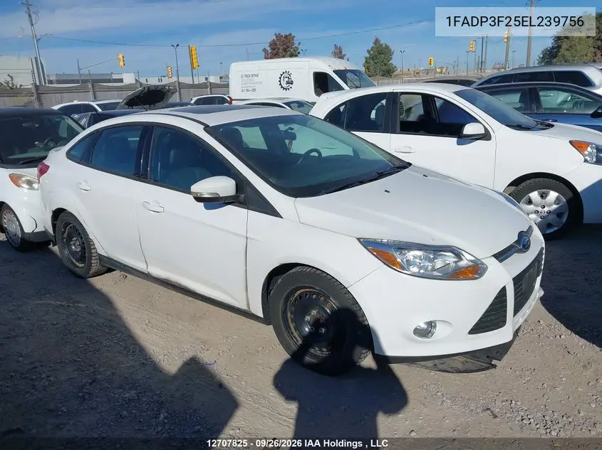 2014 Ford Focus VIN 1FADP3F25EL239756 фото 1