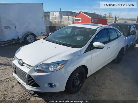 2014 Ford Focus VIN 1FADP3F25EL239756 фото 2