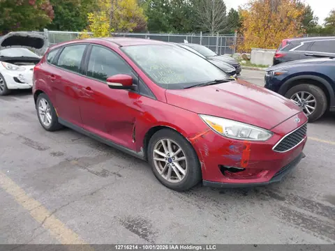 1FADP3K26FL251146 — 2015 Ford Focus, Передняя часть (Front), фото до ремонта