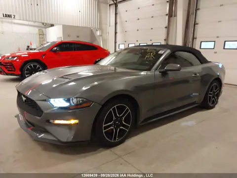 2021 Ford Mustang Convertible VIN 1FATP8UH4M5129834 фото 2