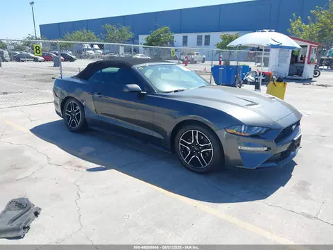 1FATP8UHXK5106443 — 2019 Ford Mustang Ecoboost Premium, Задняя часть справа (Right Rear), фото до ремонта
