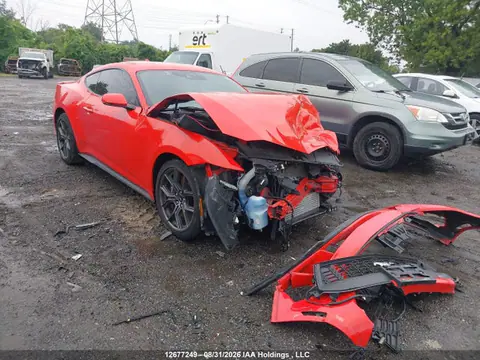 1FA6P8TH0R5104211 — 2024 Ford Mustang Ecoboost Premium, Передняя часть (Front), фото до ремонта