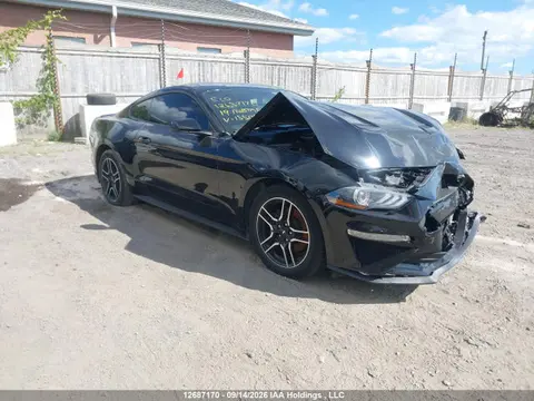 1FA6P8TH2K5155148 — 2019 Ford Mustang Ecoboost, Передняя часть (Front), фото до ремонта