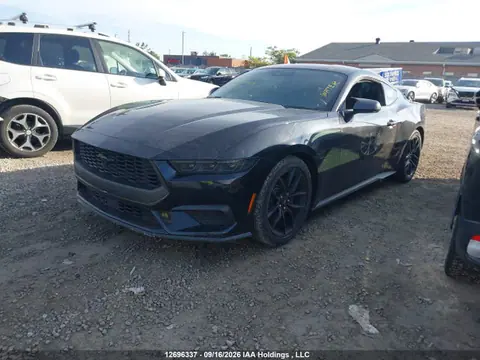 2024 Ford Mustang Ecoboost VIN 1FA6P8TH5R5137589 фото 2