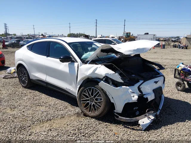 2025 Ford Mustang Mach-e Premium VIN 3FMTK3SU1SMA11223 фото 1