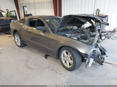 1ZVBP8AM4E5204926 — 2014 Ford Mustang V6, Передняя часть (Front End), фото до ремонта