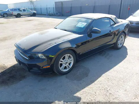2014 Ford Mustang V6 VIN 1ZVBP8EM4E5267017 фото 2