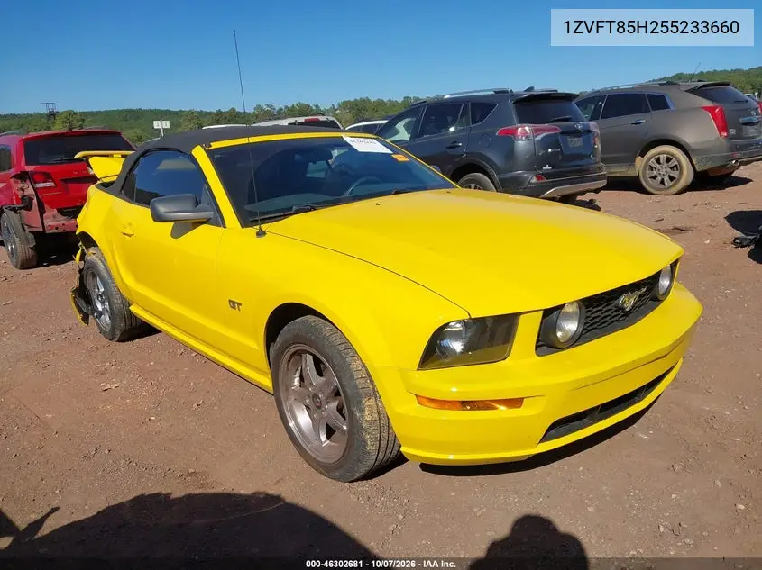 2005 Ford Mustang Gt VIN 1ZVFT85H255233660 фото 2