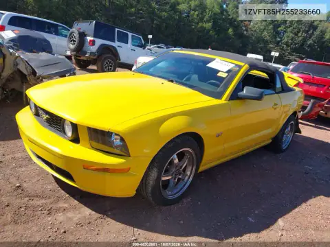 2005 Ford Mustang Gt VIN 1ZVFT85H255233660 фото 3