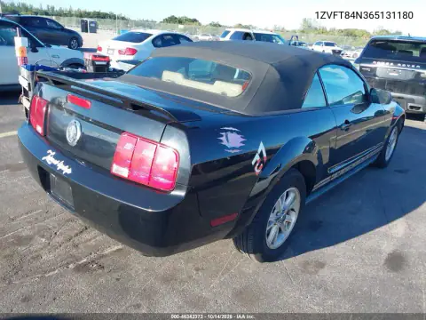 1ZVFT84N365131180 — 2006 Ford Mustang, фото 5 с аукциона IAAI, Передняя часть