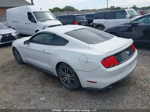 2016 Ford Mustang VIN 1FA6P8TH7G5207039 фото 3