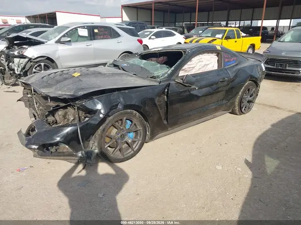 1FA6P8CF2G5278678 — 2016 Ford Mustang, фото 2 с аукциона IAAI, Биологическая или химическая опасность