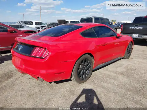 2016 Ford Mustang V6 VIN 1FA6P8AM4G5256375 фото 5