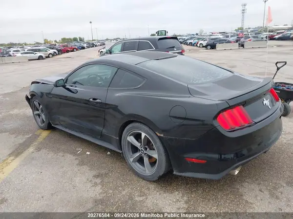 1FA6P8AM8H5303442 — 2017 Ford Mustang, фото 3 с аукциона IAAI 29.09.2026, Передняя часть
