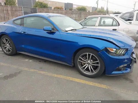 1FA6P8TH9H5216102 — 2017 Ford Mustang, Передняя часть (Front), фото до ремонта
