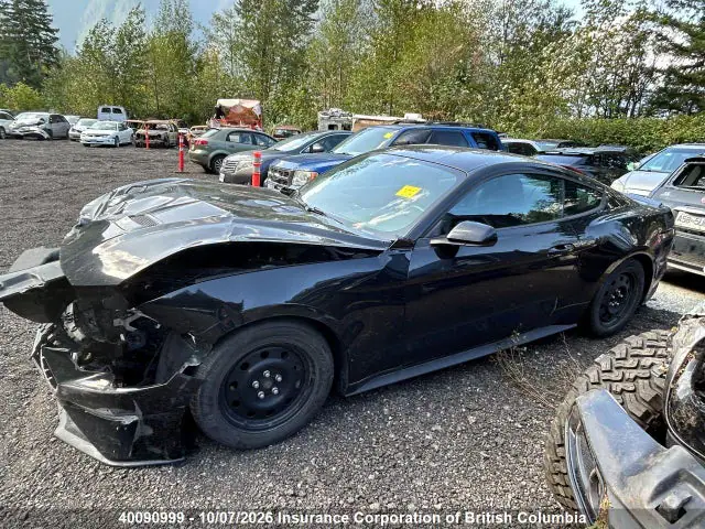 1FA6P8THXK5154667 — 2019 Ford Mustang, Передняя часть (Front), фото до ремонта