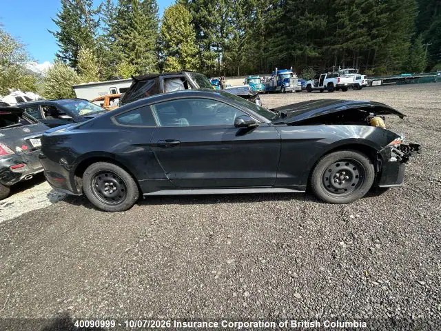 1FA6P8THXK5154667 — 2019 Ford Mustang, фото 4 с аукциона IAAI 14.10.2026, Передняя часть