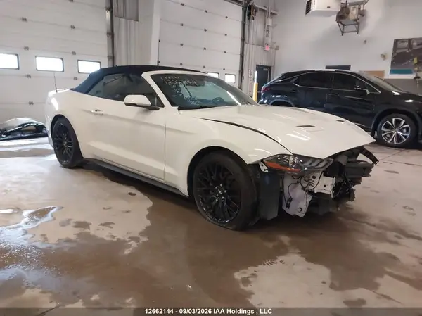 1FATP8UH5L5160640 — 2020 Ford Mustang, Передняя часть (Front), фото до ремонта