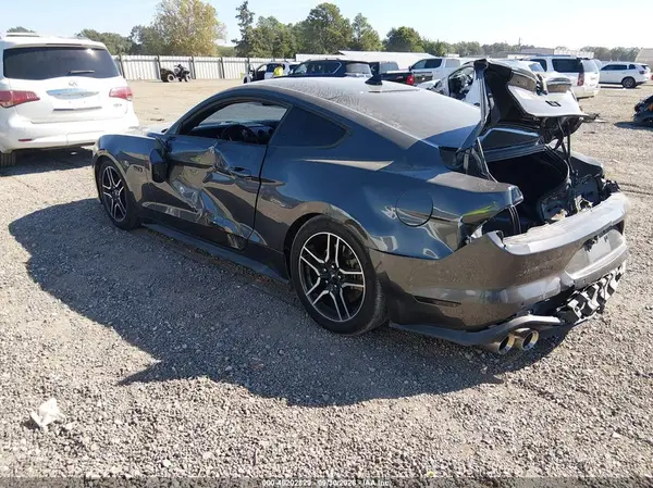 1FA6P8CF8L5149449 — 2020 Ford Mustang, фото 3 с аукциона IAAI, Задняя часть