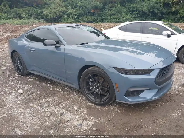 1FA6P8TH1S5124408 — 2025 Ford Mustang, Крыша (Roof), фото до ремонта