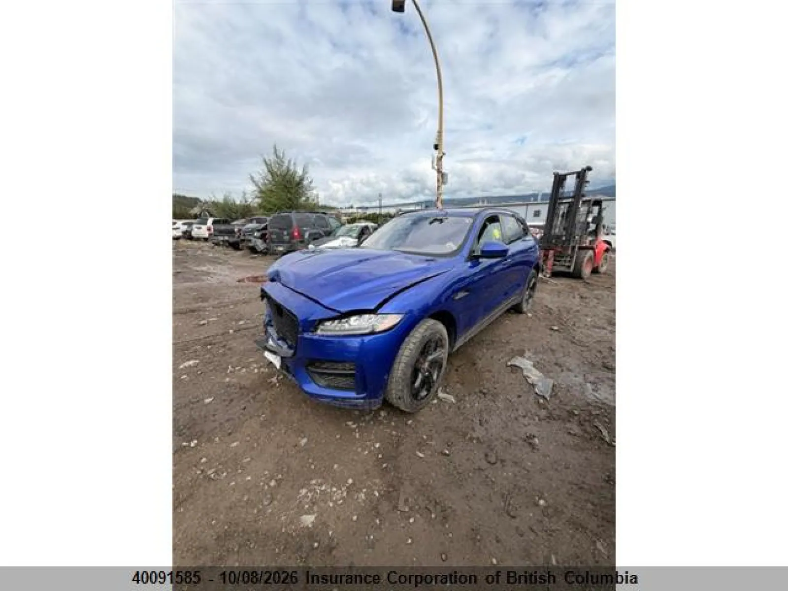 2019 Jaguar F-Pace R - Sport VIN SADCL2FN9KA397373 фото 2