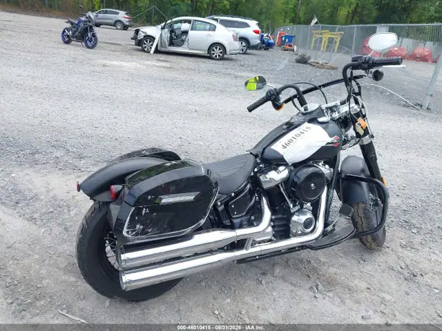 1HD1YDJ14LB044960 — 2020 Harley-Davidson FLSL, фото 4 с аукциона IAAI 29.09.2026, Повреждения со всех сторон