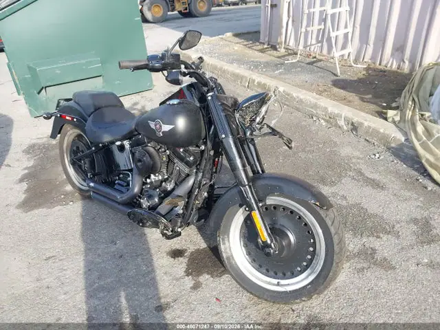 1HD1JT911GC016553 — 2016 Harley-Davidson Flstfbs, Повреждения со всех сторон (All Over), фото до ремонта