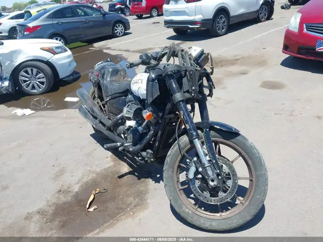 1HD1YXZ15PB061388 — 2023 Harley-Davidson Fxlrst, Повреждения со всех сторон (All Over), фото до ремонта