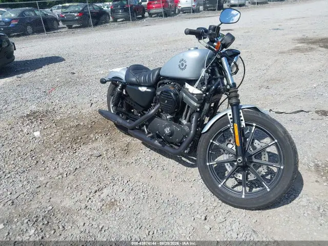1HD4LE219LB431133 — 2020 Harley-Davidson XL883 N, Повреждения со всех сторон (All Over), фото до ремонта