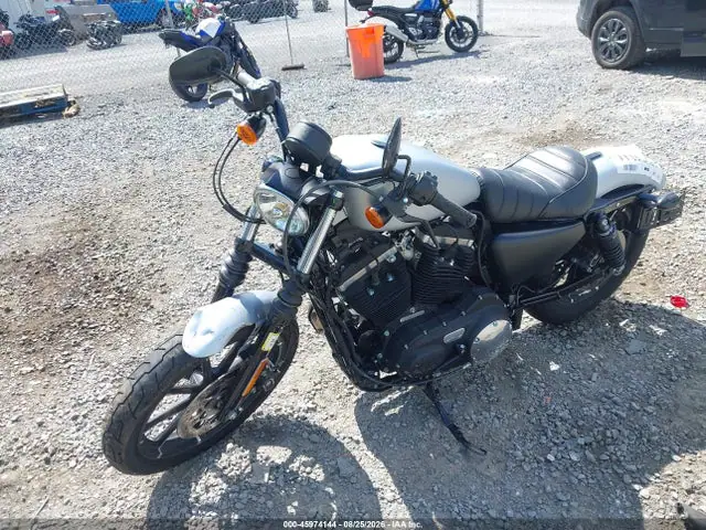1HD4LE219LB431133 — 2020 Harley-Davidson XL883 N, фото 2 с аукциона IAAI 29.09.2026, Повреждения со всех сторон