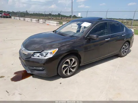 2016 Honda Accord Ex-l VIN 1HGCR2F8XGA050003 фото 2