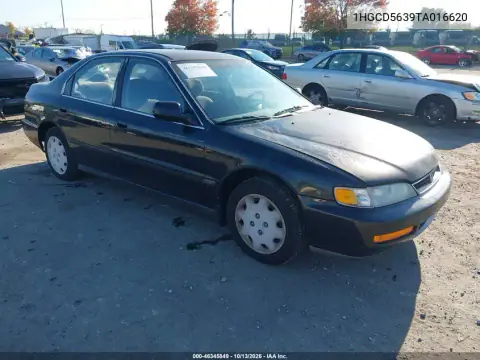 1HGCD5639TA016620 — 1996 Honda Accord, Передний левый, фото до ремонта