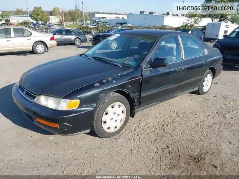 1HGCD5639TA016620 — 1996 Honda Accord, фото 3 с аукциона IAAI, Передняя часть слева