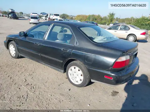 1HGCD5639TA016620 — 1996 Honda Accord, фото 4 с аукциона IAAI, Передняя часть слева