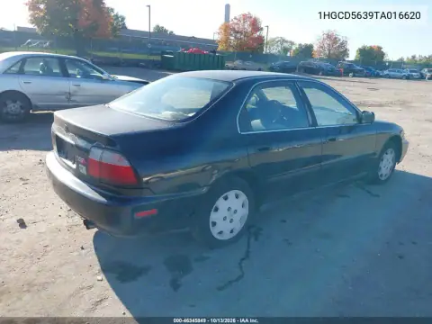 1HGCD5639TA016620 — 1996 Honda Accord, фото 5 с аукциона IAAI, Передняя часть слева