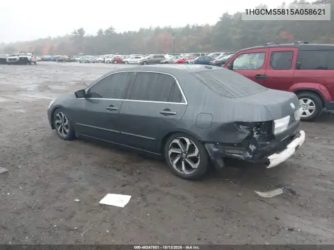 2005 Honda Accord 2.4 Ex VIN 1HGCM55815A058621 фото 3