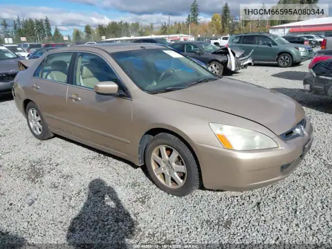 1HGCM66595A080344 — 2005 Honda Accord, фото 2 с аукциона IAAI, Задняя часть