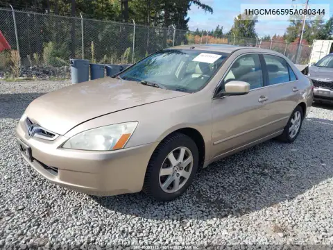 1HGCM66595A080344 — 2005 Honda Accord, фото 3 с аукциона IAAI, Задняя часть