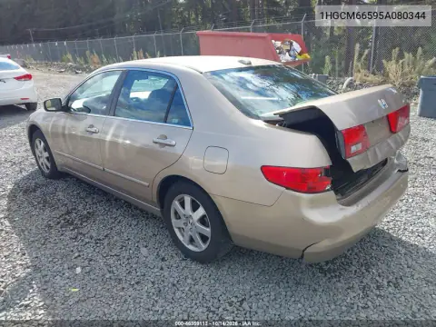 1HGCM66595A080344 — 2005 Honda Accord, фото 4 с аукциона IAAI, Задняя часть