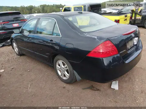 2006 Honda Accord 2.4 Ex VIN 1HGCM56816A165829 фото 4