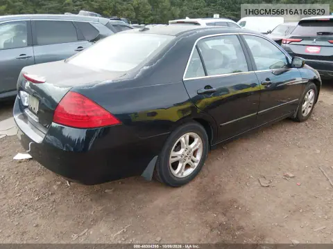 2006 Honda Accord 2.4 Ex VIN 1HGCM56816A165829 фото 5