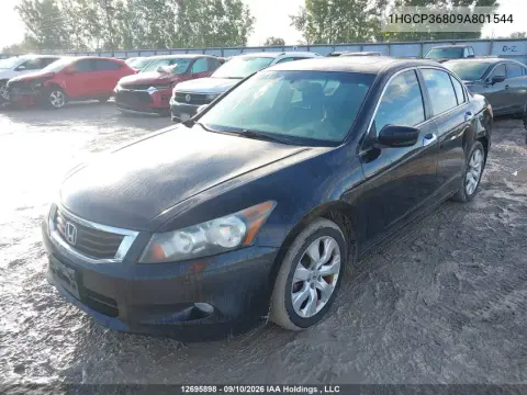 2009 Honda Accord Ex-L V6 VIN 1HGCP36809A801544 фото 3