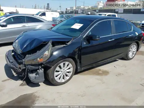 1HGCR2F75DA246899 — 2013 Honda Accord, фото 3 с аукциона IAAI, Передняя часть