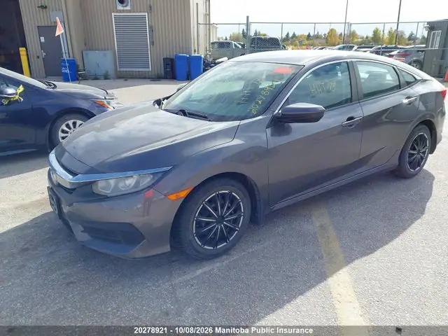 2HGFC2F56HH005308 — 2017 Honda Civic LX, фото 2 с аукциона IAAI 14.10.2026, Подтопление