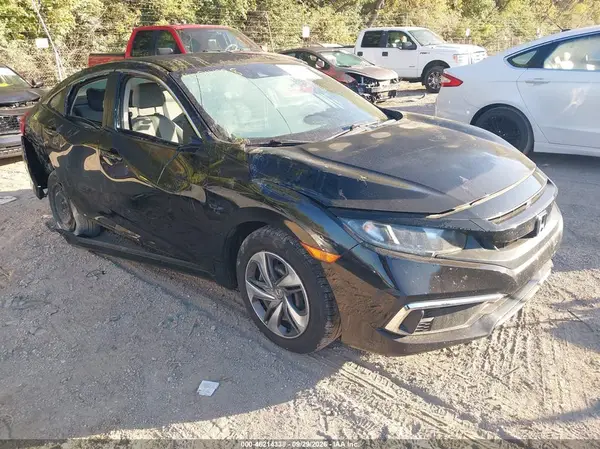 2HGFC2F67KH552295 — 2019 Honda Civic, Правый бок (Right Side), фото до ремонта