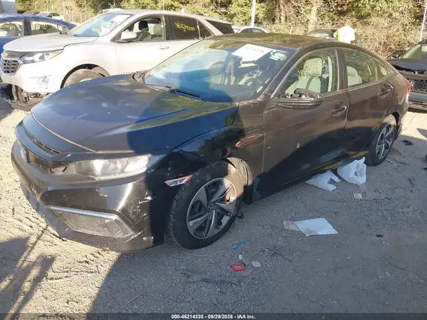 2HGFC2F67KH552295 — 2019 Honda Civic, фото 2 с аукциона IAAI, Правый бок