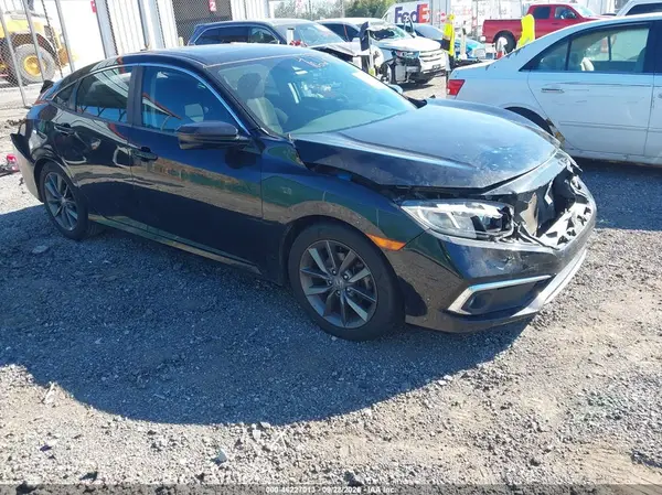 19XFC1F35KE010509 — 2019 Honda Civic, Задняя часть (Rear), фото до ремонта