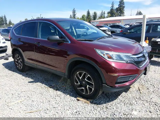 2HKRM4H48GH607013 — 2016 Honda CR-V SE, Задняя часть (Rear), фото до ремонта